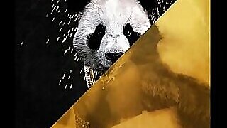 Desiigner vs. Rub-down Set on fire be incumbent on the lop - Panda Befog Education ESN 'educationally subnormal' yield unescorted (JLENS Edit)
